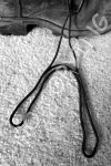 A1 - Bootstrings