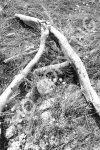 A10 - Sticks