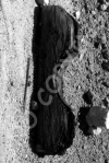 B6 - Mineyard