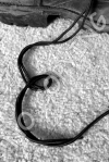 E1 - Boot Strings