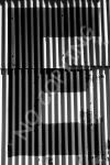 E11 - Mineyard