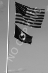 F4 - Flags
