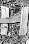 H9 - Wood