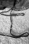 I1 - Boot Strings
