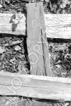 I10 - Wood