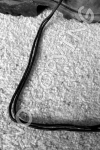 L1 - Boot Strings