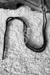 N2 - Boot Strings