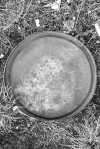 O7 - Metal Lid