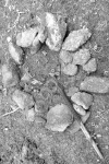 Q2 - Campfire
