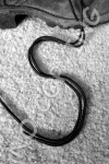 S1 - Boot Strings