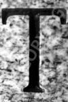 T7 - Memorial Bench
