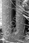 U5 - Radiator