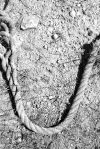 U6 - Rope