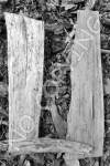 U7 - Wood