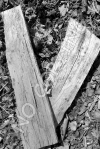 V8 - Wood