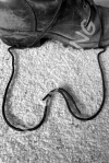 W1 - Boot Strings