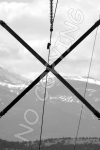 X5 - Telephone Pole