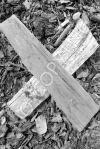 X6 - Wood