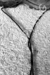 Y1 - Boot Strings