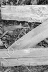 Z4 - Wood 1