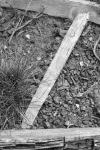 Z5 - Wood 2